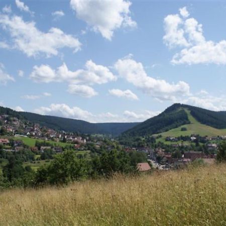 Fewo Panorama - Haus Sommerberg Apartment Baiersbronn Luaran gambar