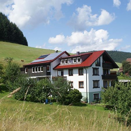 Fewo Panorama - Haus Sommerberg Apartment Baiersbronn Luaran gambar