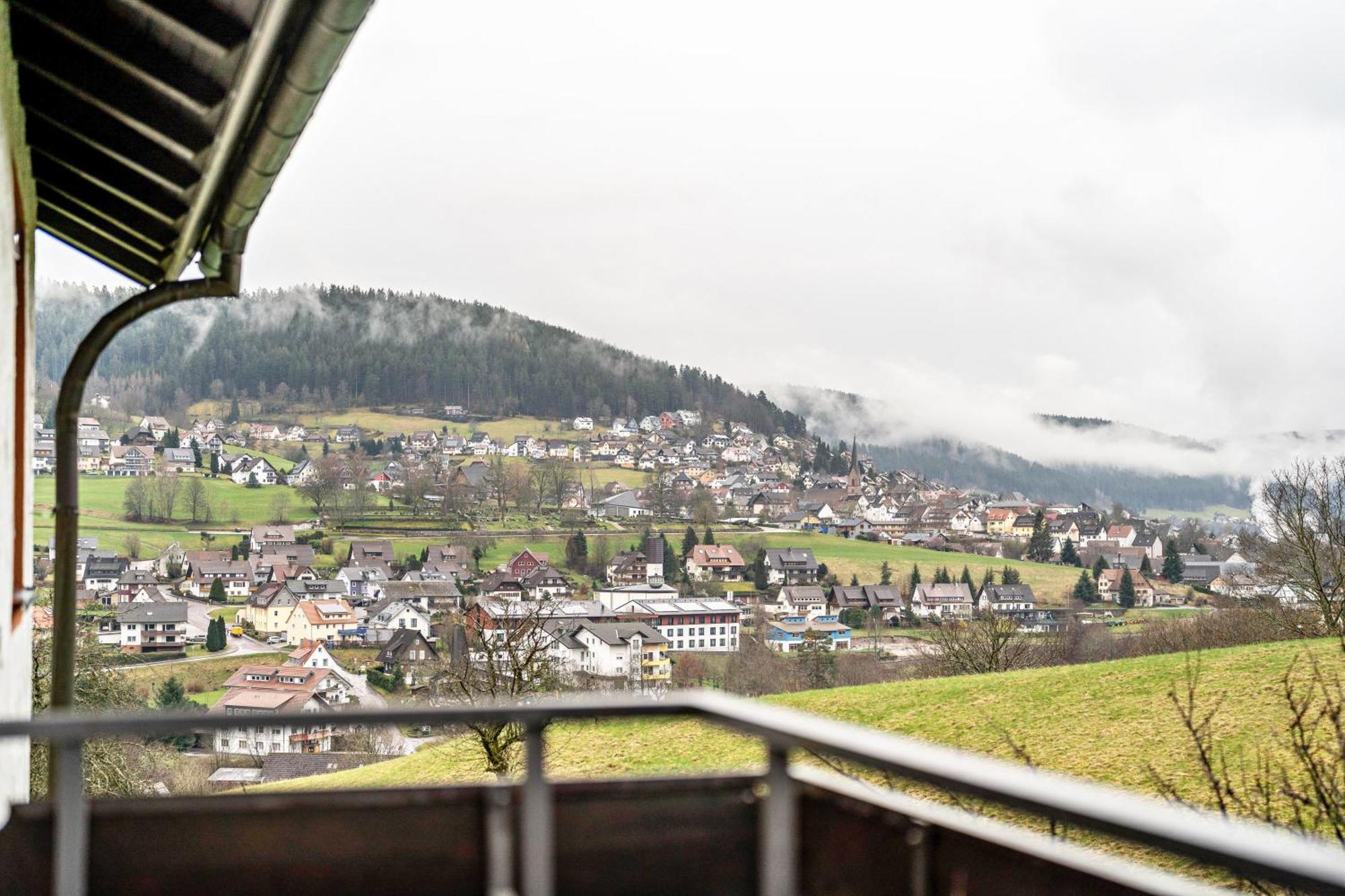 Fewo Panorama - Haus Sommerberg Apartment Baiersbronn Luaran gambar