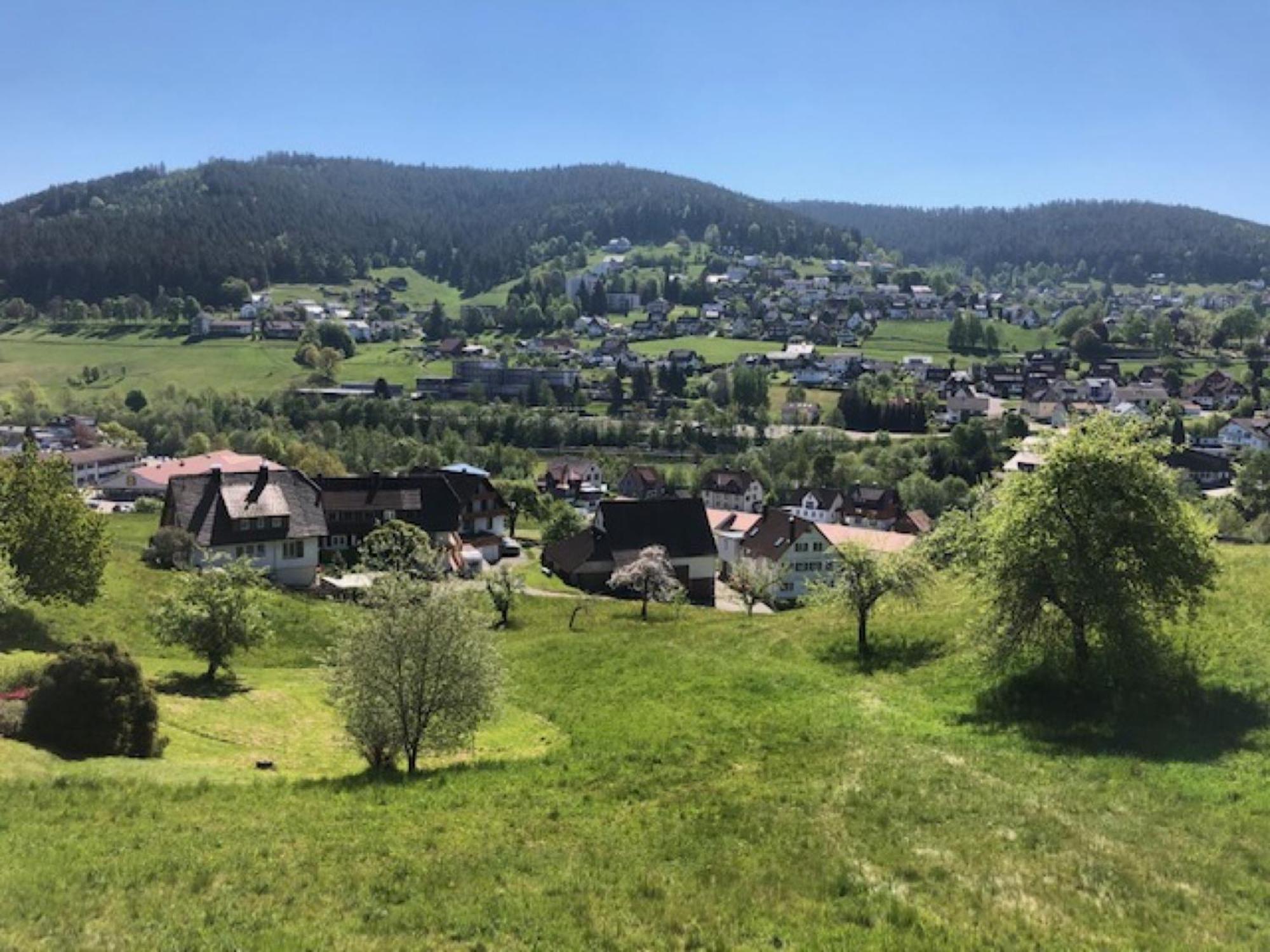 Fewo Panorama - Haus Sommerberg Apartment Baiersbronn Luaran gambar